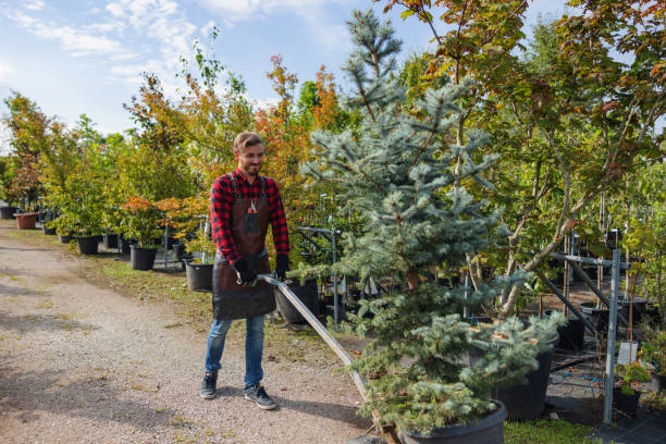 Best Tree and Shrub Care  in Hyde, PA