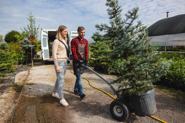 Best Commercial Tree Services  in Hyde, PA